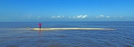 The Cat Islands are almost gone. &nbsp;Will we save Grand Isle? | Coastal Restoration | Scoop.it