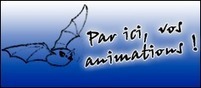 Nuit Internationale de la chauve-souris 2018 - Les animations continuent ! | Biodiversité | Scoop.it