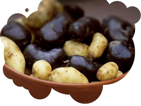 Rencontre &agrave; la recyclerie - les enjeux de l'agriculture urbaine - 29 septembre 2015 | Paysage - Agriculture | Scoop.it