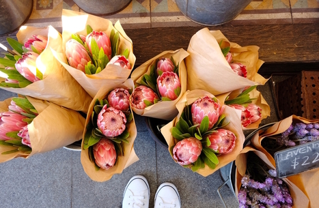 The Best Flower Shops on the Upper West Side | Q Florist | Scoop.it