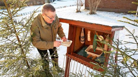 Riston keksintö helpottaa lintujen talviruokintapaikkojen jyrsijäongelmia | 1Uutiset - Lukemisen tähden | Scoop.it