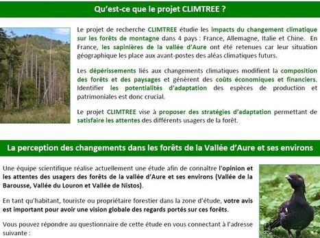 Projet CLIMTREE : exprimez vos attentes vis à vis des forêts de votre territoire | Vallées d'Aure & Louron - Pyrénées | Scoop.it