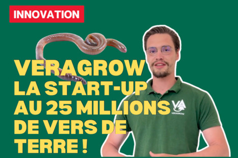 VERAGROW : 25 millions de vers de terre au service d’une agriculture durable  | INNOVATIONS | Scoop.it