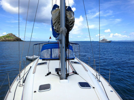 Carpe diem - The Miami Herald (13/07/13) | Latinismos na prensa | Scoop.it