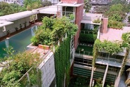 Paris se lance dans un plan de végétalisation de ses toitures | Biodiversité | Scoop.it