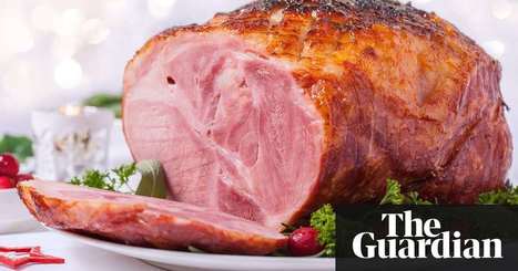 Is it offensive to call ruddy-faced middle-aged Tories 'gammons'? | Politics | The Guardian | The EFL SMARTblog Scoop.it Page | Scoop.it