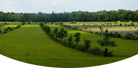 L’agroécologie : remettre l’agronomie au coeur de la transition | Lait de Normandie... et d'ailleurs | Scoop.it