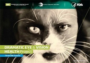 La FDA hace equipo en novedosa campaña sobre los riesgos de los lentes de contacto cosméticos | Salud Visual 2.0 | Scoop.it