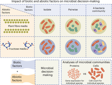 Community context reshapes microbial proteomes and reduces functional overlap | Nmb | RMH | Scoop.it