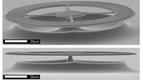 Este nuevo sensor de ultrasonidos es tan preciso que puede escuchar el sonido que hace una bacteria | tecno4 | Scoop.it