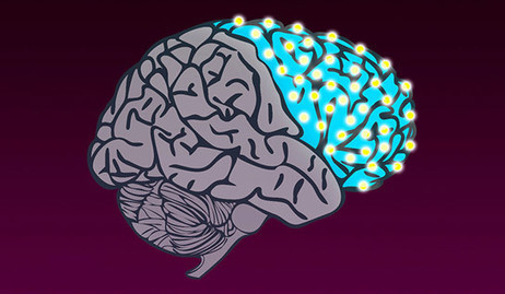 Yale Maps Evolutionary Changes of the Human Brain | Five Regions of the Future | Scoop.it