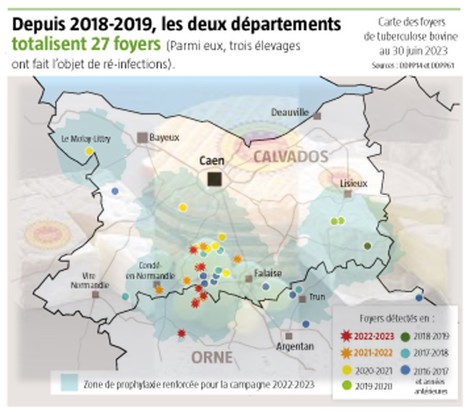 Y aura-t-il des camemberts et des pont-l’évêque AOP cet automne ? | Lait de Normandie... et d'ailleurs | Scoop.it