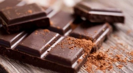 Manger du chocolat tous les jours peut être bénéfique pour la santé ! | La Sagesse de la Nature | Scoop.it