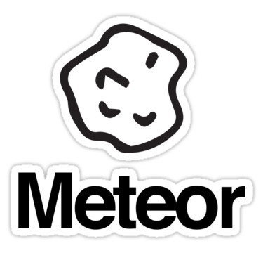 Best Learning Resources for Meteor.js | JavaScript for Line of Business Applications | Scoop.it