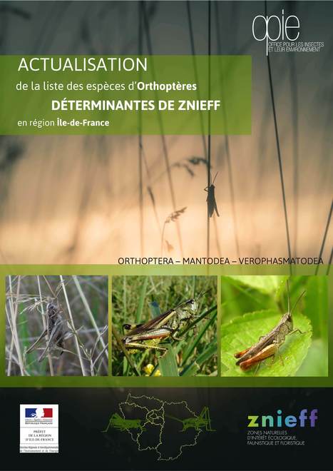 Liste des habitats et espèces déterminant·es de ZNIEFF actualisée en Île-de-France (3/3) : les Orthoptères | Insect Archive | Scoop.it