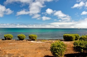 The Bizarre Story of Floreana Island, Galapagos | GringosAbroad.com | Galapagos | Scoop.it