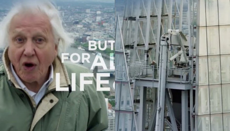 Sir David Attenborough's 'Planet Earth II' Sign Off Hit So Hard Twitter Lost Its Damn Mind! | Sustainability Science | Scoop.it