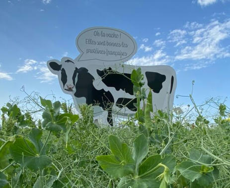 Cap Prot&eacute;ines, une formidable boite &agrave; outils &agrave; valeur d&rsquo;exemple | Actualit&eacute; B&eacute;tail | Scoop.it