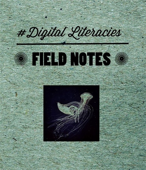 Field Notes for 21st Century Literacies | Voices in the Feminine - Digital Delights | Scoop.it