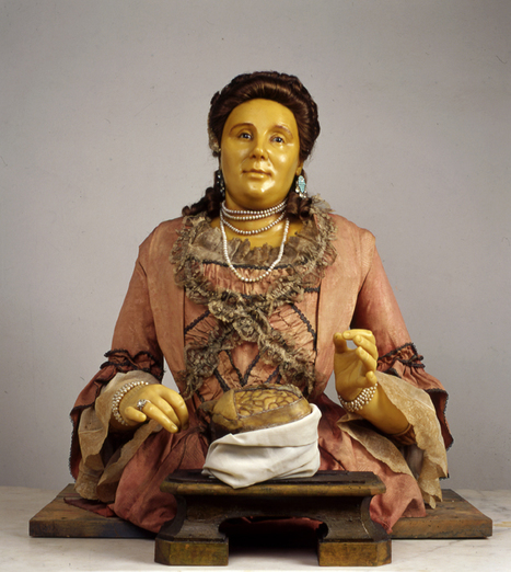 'The Lady Anatomist': 18th-Century Wax Sculptures by Anna Manzolini | Merveilles - Marvels | Scoop.it