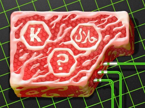 Opinion: Can Lab-Grown Meat Really Be Halal or Kosher? | The Asian Food Gazette. | Scoop.it