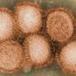 Vaccination may make flu worse if exposed to a second strain | Fitness, Health, and Wellness | Scoop.it