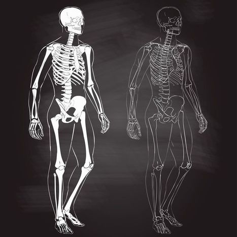 Vídeos sobre el cuerpo humano: para conocerlo y repasarlo | Educación, TIC y ecología | Scoop.it