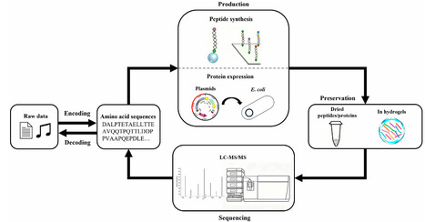 Data storage with amino acid sequences | tin | RMH | Scoop.it
