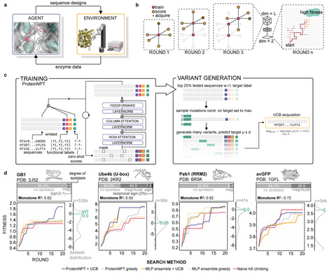 Learning protein function through autonomous experimental interaction | brvt | RMH | Scoop.it