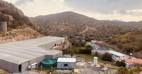 MENA : Developing a 5,000 tonne trout farm in Saudi Arabia | CIHEAM Press Review | Scoop.it