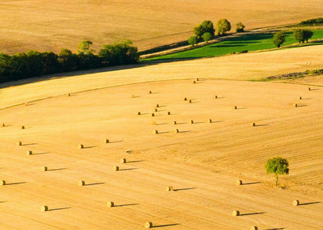 La France, championne de la taxation des terres agricoles et, donc, de l’artificialisation des sols | Banque des territoires | La SELECTION du Web | CAUE des Vosges - www.caue88.com | Scoop.it