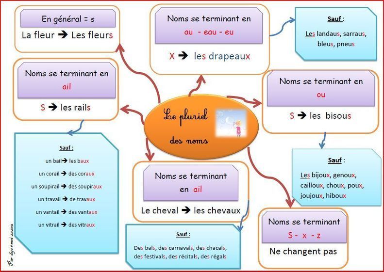 Carte conceptuelle sur le pluriel des noms Ca...