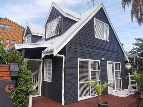 Zeolis Painters – House Painters Auckland | Business | Scoop.it