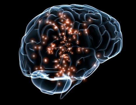 #temadeldía #CEREBRO #educacion   // Un estudio indica que el cerebro femenino memoriza y aprende mejor | Educación, TIC y ecología | Scoop.it