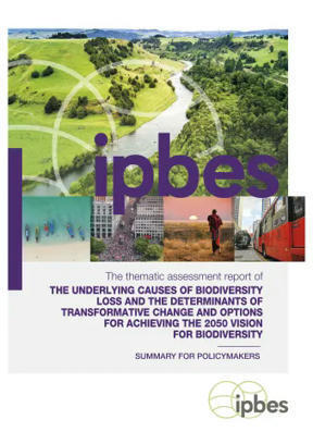 Thematic Assessment Report on the Underlying Causes of Biodiversity Loss and the Determinants of Transformative Change and Options for Achieving the 2050 Vision for Biodiversity | Lire, se documenter, savoir... Bibliographie portant sur nos thématiques | Scoop.it