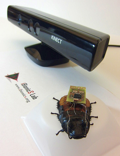 Researchers Use Video Game Tech to Steer Roaches on Autopilot | Science News | Scoop.it