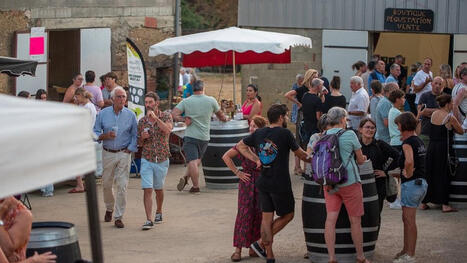 Fermes en f&ecirc;te dans le Gers : quatorze agriculteurs ouvrent leurs portes ce week-end pour des circuits gourmands et festifs | Professionnels du tourisme du Grand Auch C&oelig;ur de Gascogne | Scoop.it