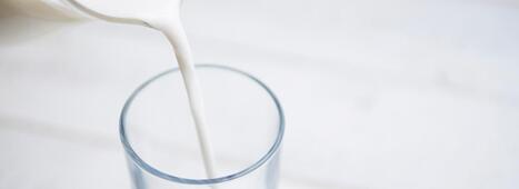 Du dioxyde de titane détecté dans le lait, malgré l’interdiction du E171 | INRAE | Alimentation Santé Environnement | Scoop.it