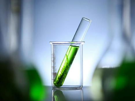 L’IFP Energies nouvelles dresse le bilan 2022 des biocarburants | CORPS GRAS | Scoop.it