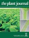 Plant Journal: The Arabidopsis extracellular UNUSUAL SERINE PROTEASE INHIBITOR functions in resistance to necrotrophic fungi and insect herbivory | Plants and Microbes | Scoop.it