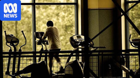Police say hundreds of vehicles are being stolen by young thieves from gyms across Melbourne | Avoid Internet Scams and ripoffs | Scoop.it