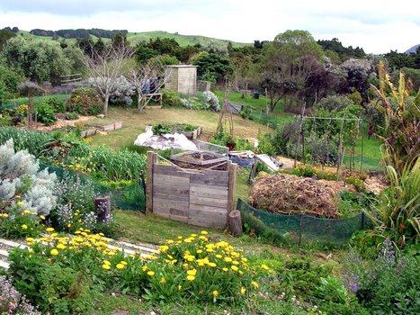 PDF Guide du permaculteur débutant | Les Colocs du jardin | Scoop.it