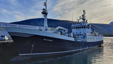 NORWAY: Export of smolt to Russia increased in 2025 | LE GRAND NORD | Scoop.it