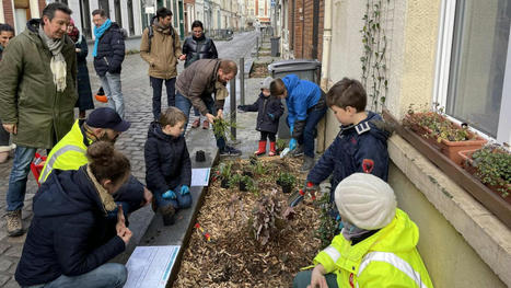 Lille : la v&eacute;g&eacute;talisation de deux rues au c&oelig;ur du quartier de Wazemmes | Nature en ville | Scoop.it