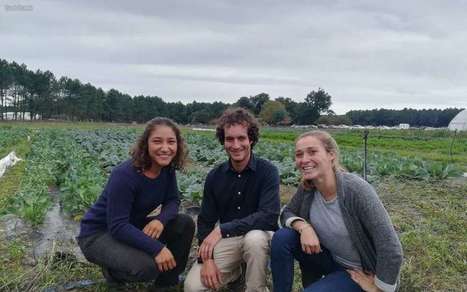 Landes : une couveuse maraîchère pour faire éclore les fermes de demain  | Landes | Scoop.it