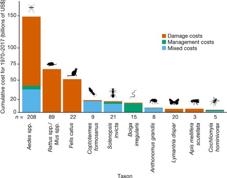 1 288 milliards de dollars : chiffrer les dégâts causés par les invasions biologiques pour enfin agir | EntomoNews | Scoop.it