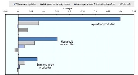 Evolving Agricultural Policies and Markets: implications for Multilateral Trade Reform | DURABILITES | Scoop.it
