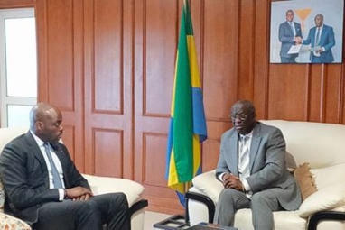 Le Gabon renforce ses infrastructures num&eacute;riques avec un data center national | Revue de Presse Afrique francophone par Service International de CCI Normandie | Scoop.it