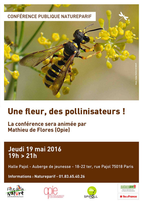 (2016) Retour sur la conférence : Une fleur, des pollinisateurs ! | Variétés entomologiques | Scoop.it