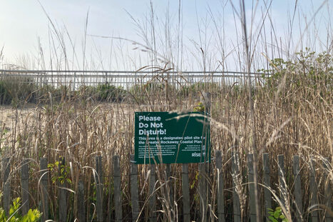Rockaway is a New York Coastal Community Trying to Fight Erosion–and Then EPA Cancelled Funding | Industry 411 - Waste Management | Scoop.it